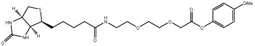 Biotin-AEEA-OPhOMe