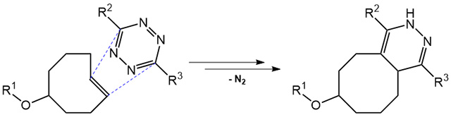 Schematic representation of the tetrazine-TCO click reaction; R1 = N-alkyl-carbamate, R2, R3 = alkyl, aryl or H. 