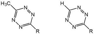 6-Methyl-substituted tetrazine (left) and 6-hydrogen-substituted tetrazine