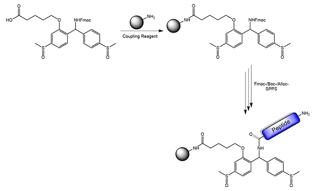 Peptide Synthesis on the SCAL linker