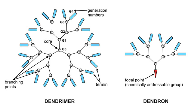 Dendron and Dendrimer structure.