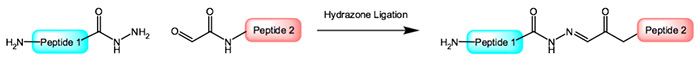NEW Hydrazone Resin - Grafik 2