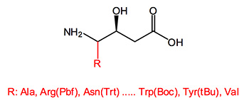 Custom Synthesis of substituted beta & gamma Amino Acids including Statine Analogues