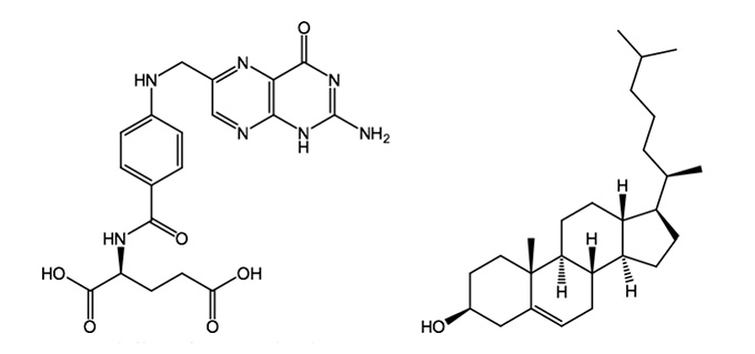 Folic Acid (left) and Cholesterol (right).